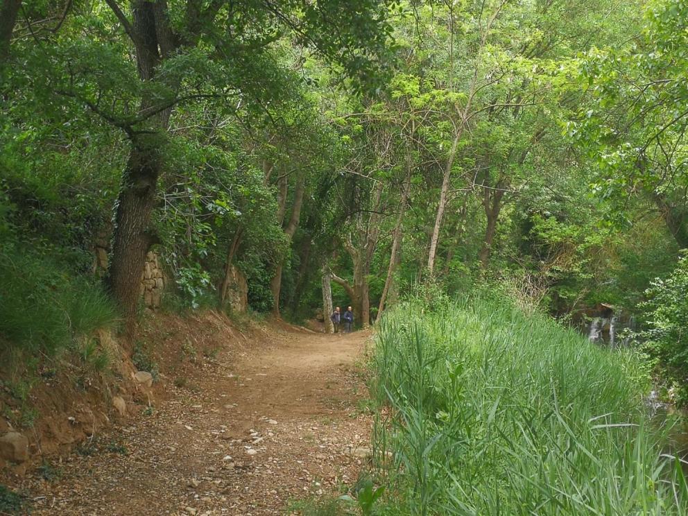 La Casa Dels Ocells (Adults Only) Bed & Breakfast Granollers de Florejacs Bagian luar foto